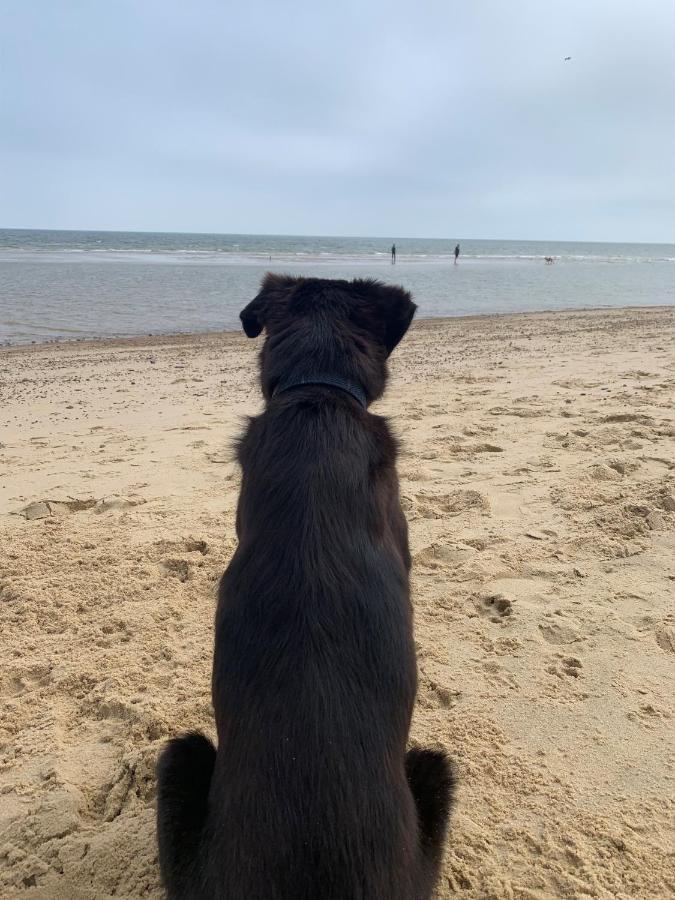 Norfolk Caravan Staycation Pet Friendly Belton with Browston Buitenkant foto