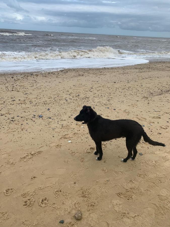 Norfolk Caravan Staycation Pet Friendly Belton with Browston Buitenkant foto